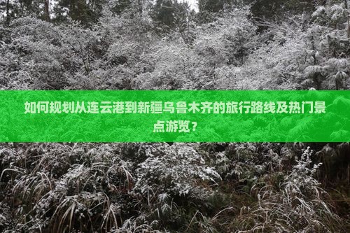如何规划从连云港到新疆乌鲁木齐的旅行路线及热门景点游览？