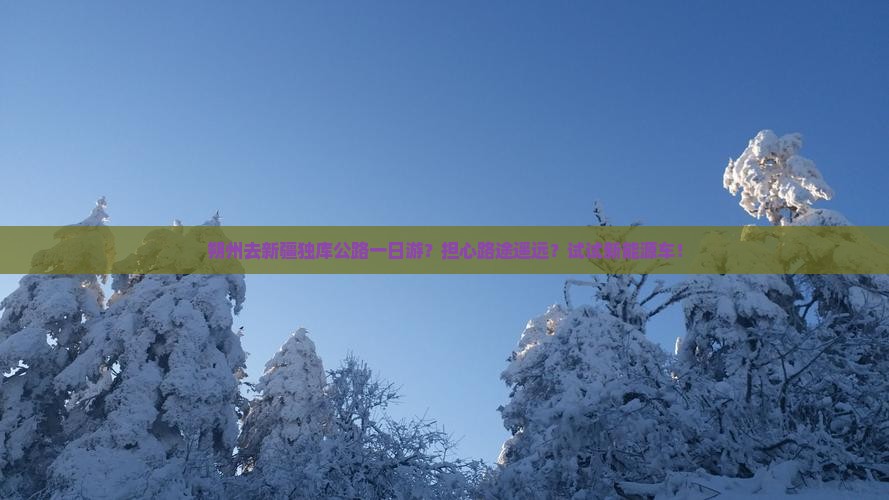 朔州去新疆独库公路一日游？担心路途遥远？试试新能源车！
