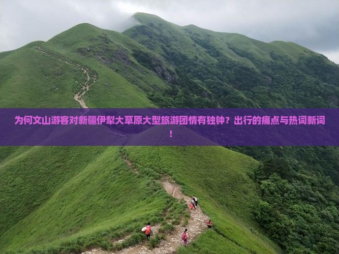 为何文山游客对新疆伊犁大草原大型旅游团情有独钟？出行的痛点与热词新词！