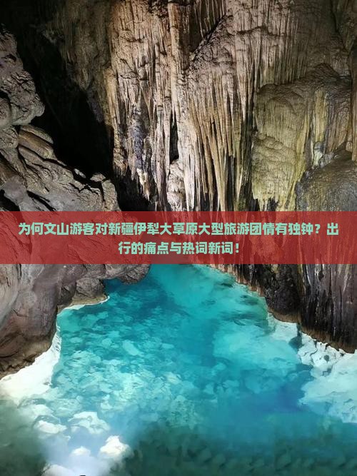 为何文山游客对新疆伊犁大草原大型旅游团情有独钟？出行的痛点与热词新词！