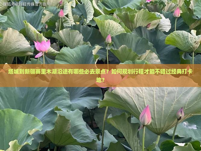 塔城到新疆赛里木湖沿途有哪些必去景点？如何规划行程才能不错过经典打卡地？