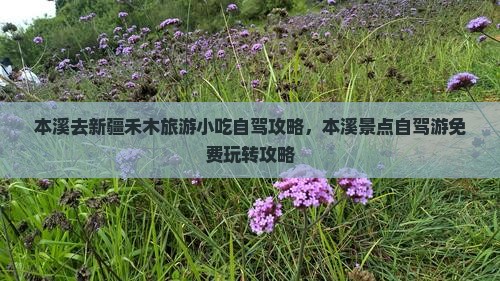 本溪去新疆禾木旅游小吃自驾攻略，本溪景点自驾游免费玩转攻略
