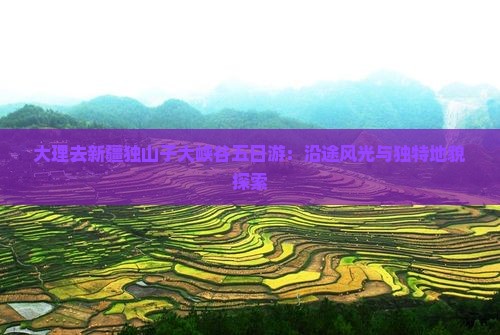 大理去新疆独山子大峡谷五日游：沿途风光与独特地貌探索
