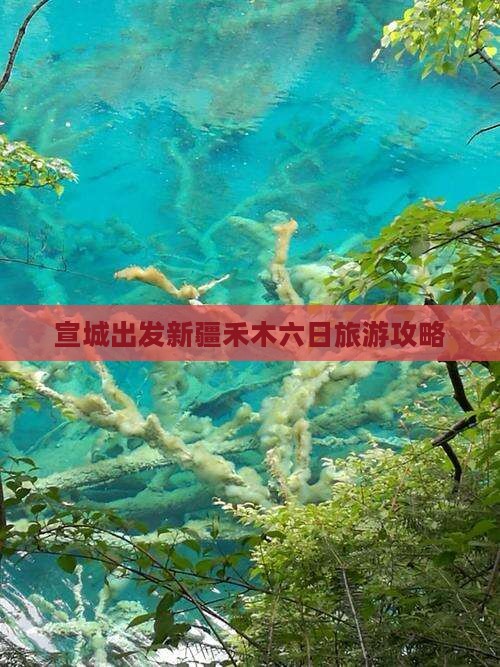 宣城出发新疆禾木六日旅游攻略