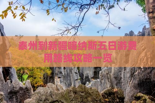 泰州到新疆喀纳斯五日游费用路线攻略一览