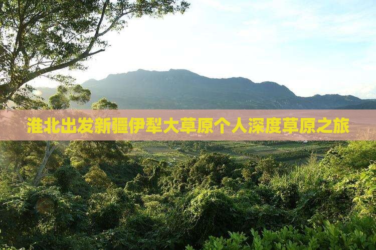淮北出发新疆伊犁大草原个人深度草原之旅