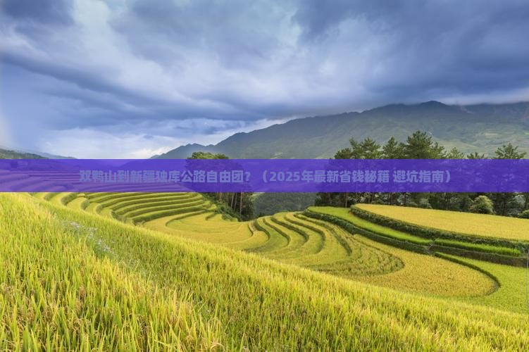 双鸭山去新疆独库公路自由团