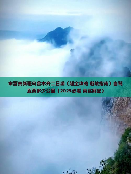 东营去新疆乌鲁木齐二日游