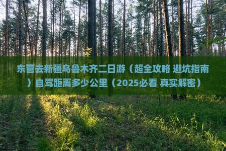 东营去新疆乌鲁木齐二日游