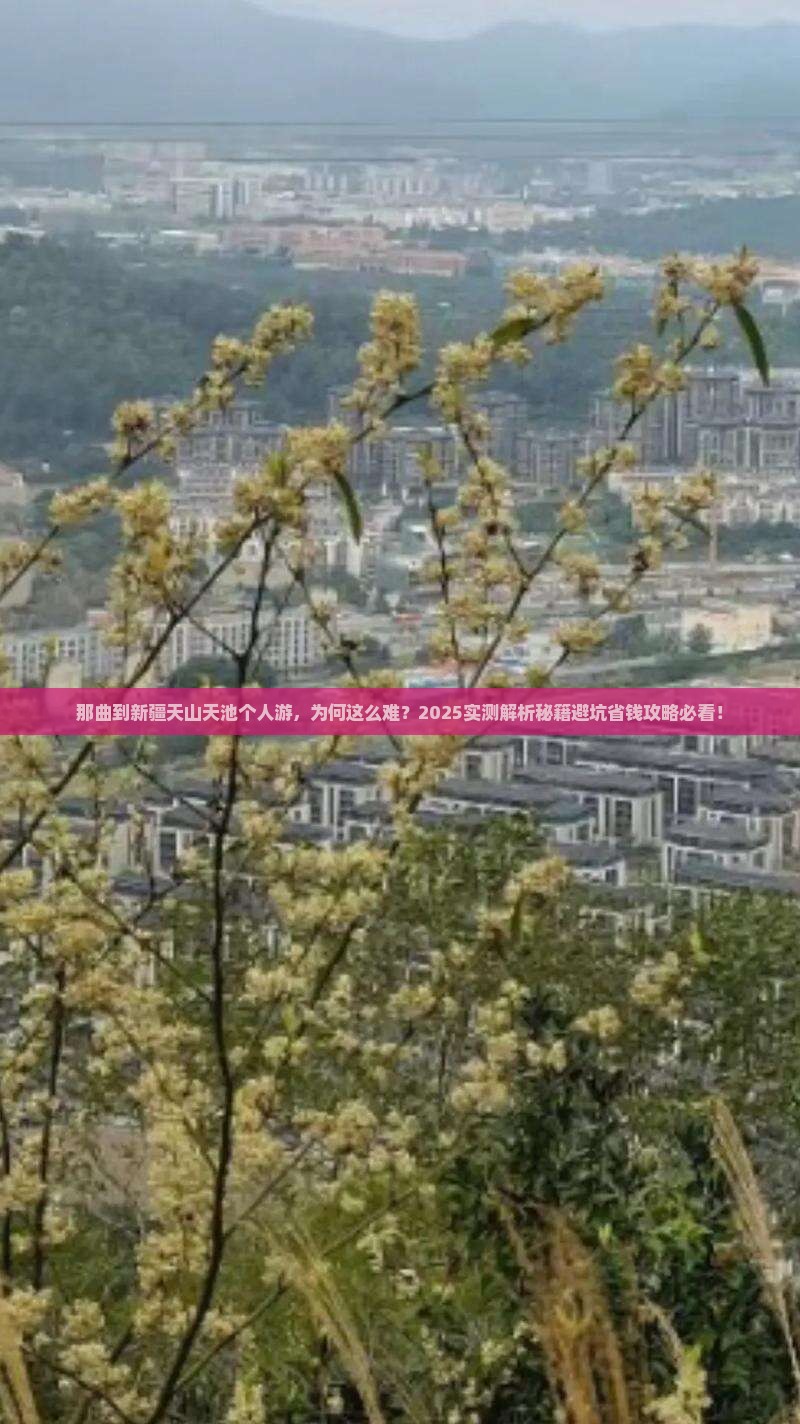 那曲到新疆天山天池个人游