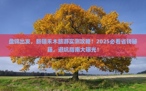 盘锦去新疆禾木旅游