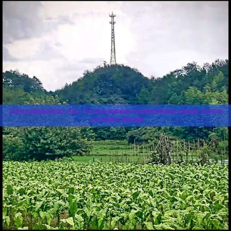 嘉峪关去新疆赛里木湖五日游