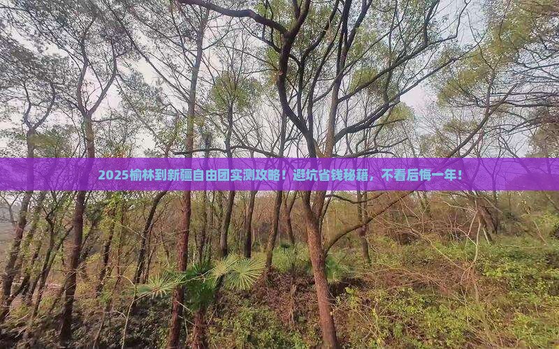 榆林到新疆自由团 榆林到新疆自由团