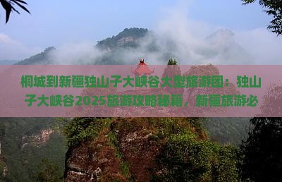 桐城到新疆独山子大峡谷大型旅游团