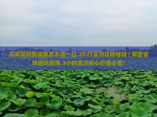 五家渠到新疆赛里木湖一日