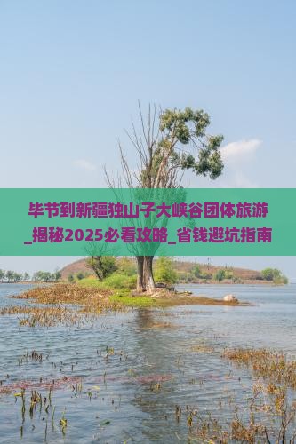 毕节到新疆独山子大峡谷团体旅游