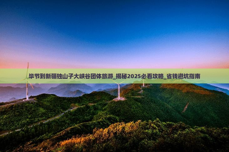 毕节到新疆独山子大峡谷团体旅游