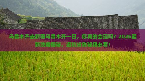 乌鲁木齐去新疆乌鲁木齐一日