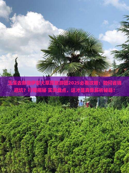玉溪去新疆伊犁大草原大型旅游团