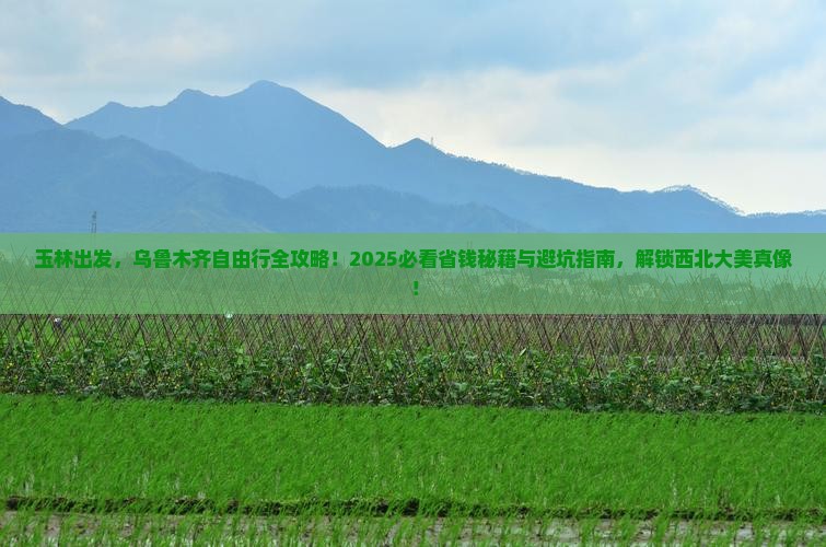 玉林到新疆乌鲁木齐自由团