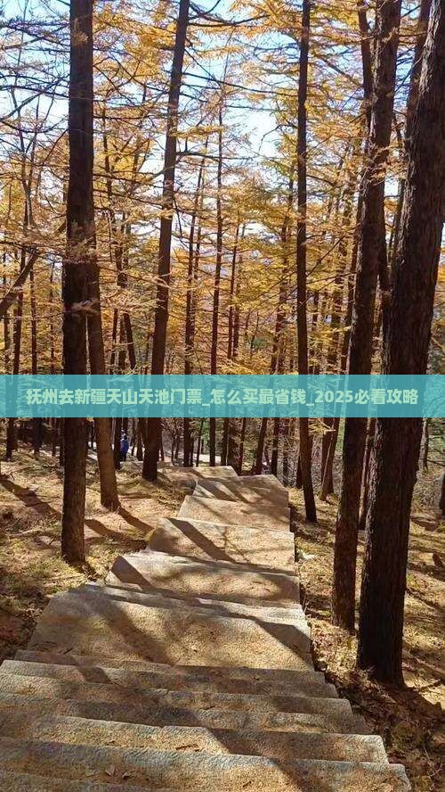 抚州去新疆天山天池门票