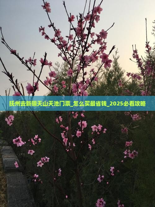 抚州去新疆天山天池门票