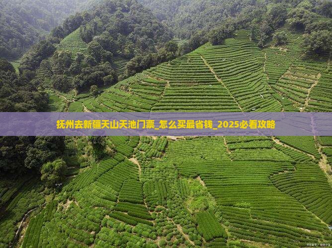抚州去新疆天山天池门票