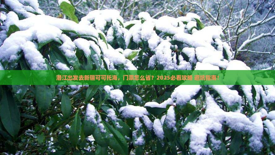 潜江去新疆可可托海门票