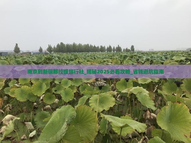 南京到新疆那拉提旅行社