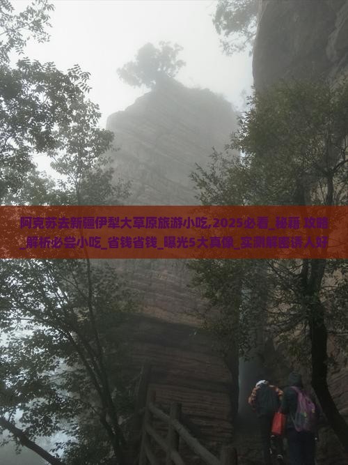 阿克苏去新疆伊犁大草原旅游小吃