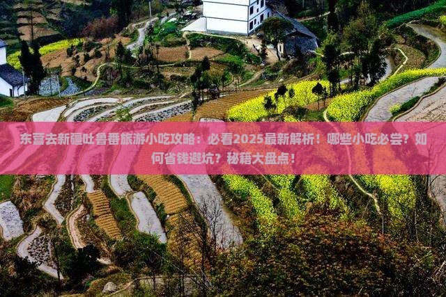 东营去新疆吐鲁番旅游小吃