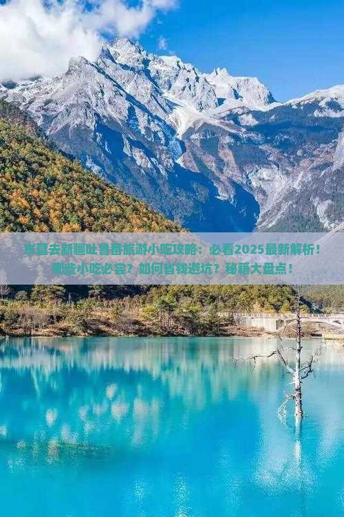 东营去新疆吐鲁番旅游小吃