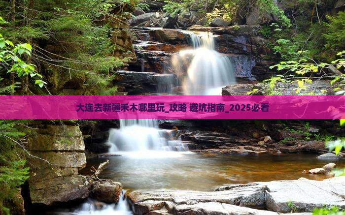 大连去新疆禾木哪里玩