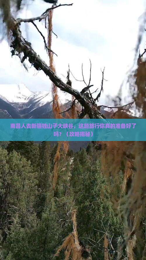 南昌去新疆独山子大峡谷大型旅游团