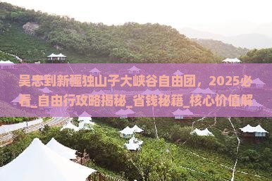 吴忠到新疆独山子大峡谷自由团