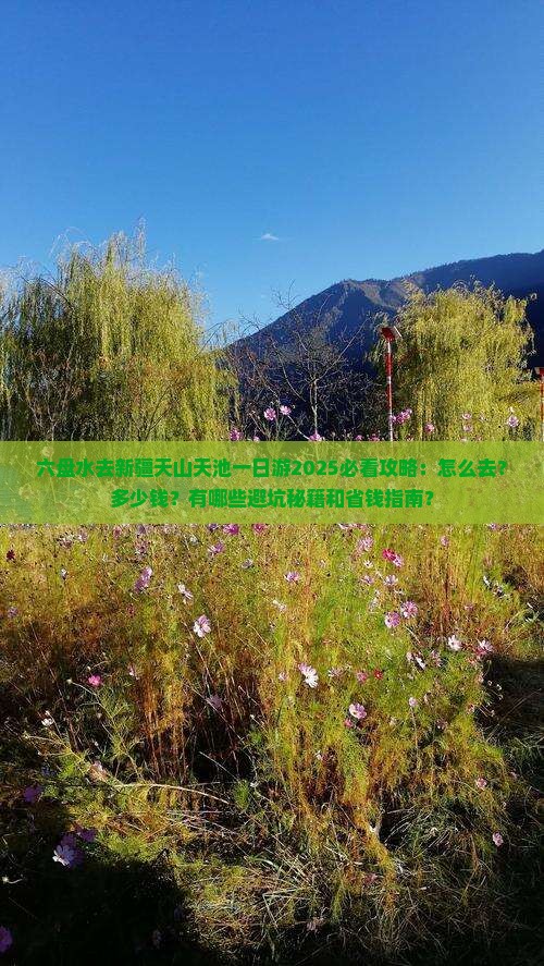 六盘水去新疆天山天池一日