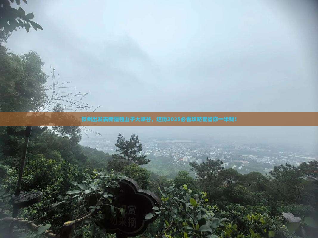 钦州去新疆独山子大峡谷大型旅游团