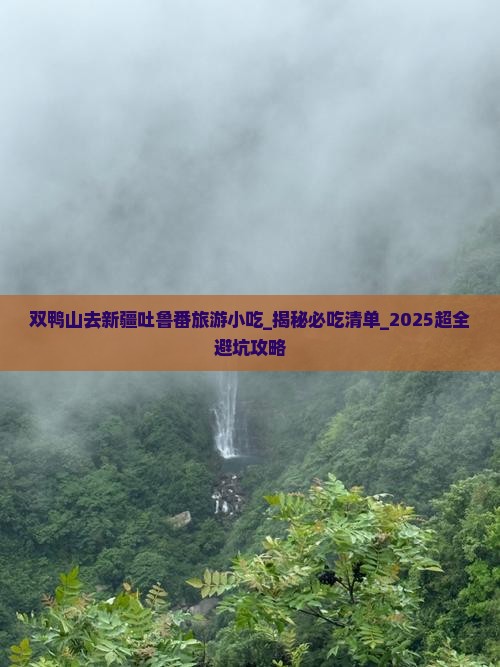 双鸭山去新疆吐鲁番旅游小吃