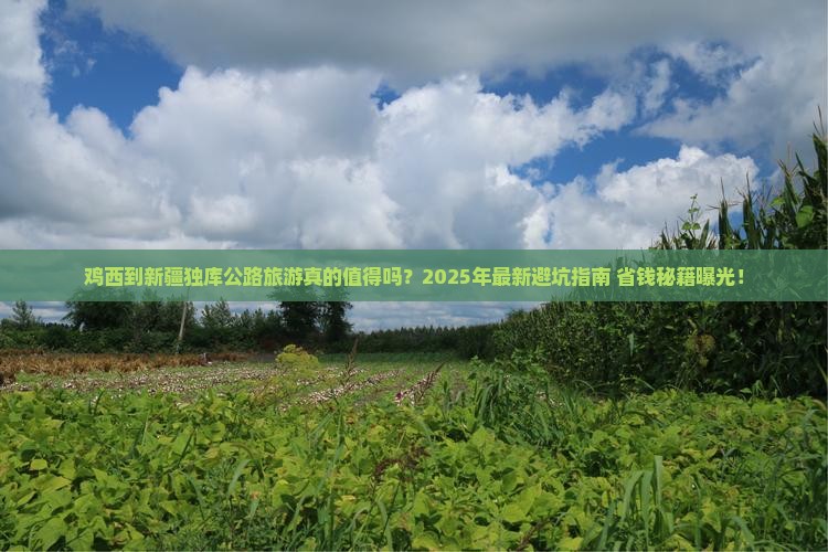 鸡西到新疆独库公路旅游