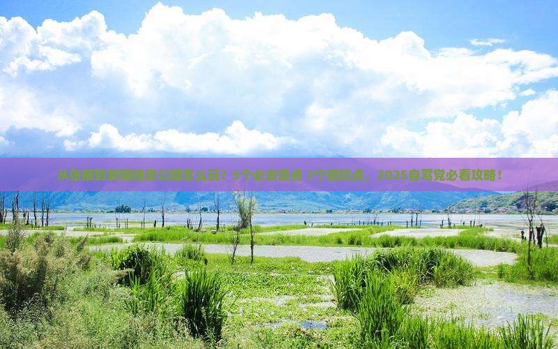 张掖到新疆独库公路哪里玩