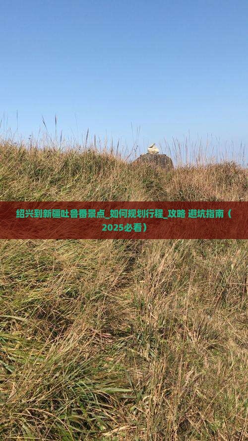 绍兴到新疆吐鲁番景点