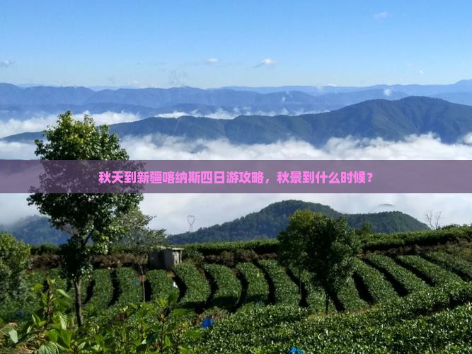 秋天到新疆喀纳斯四日游