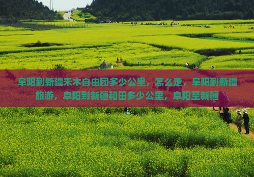 阜阳到新疆禾木自由团