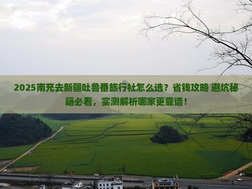 南充去新疆吐鲁番旅行社