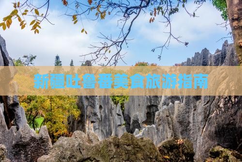 太原到新疆吐鲁番旅游小吃