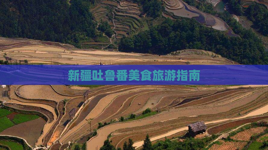 太原到新疆吐鲁番旅游小吃