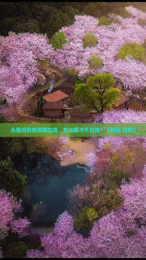 临沧去新疆那拉提哪里玩