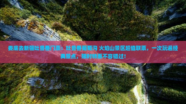 娄底去新疆吐鲁番门票