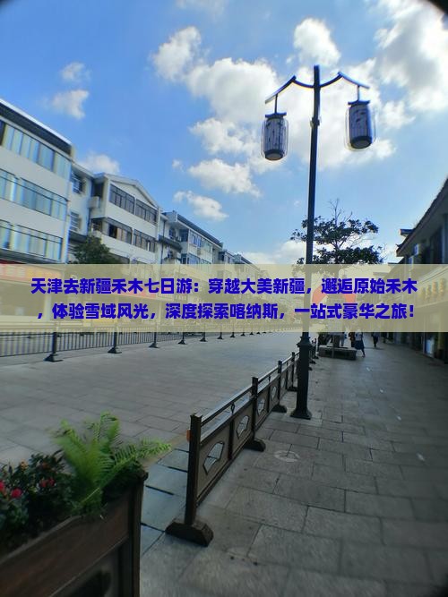天津去新疆禾木七日游