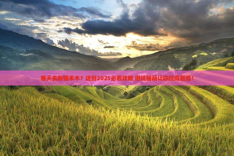 春天去新疆禾木旅行社
